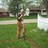gregory_schuldt
