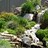 pcdlandscapes
