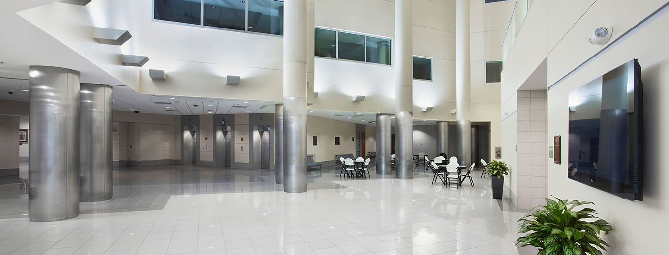 Moss Office Construction 2