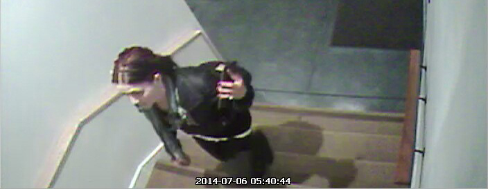 burglar4